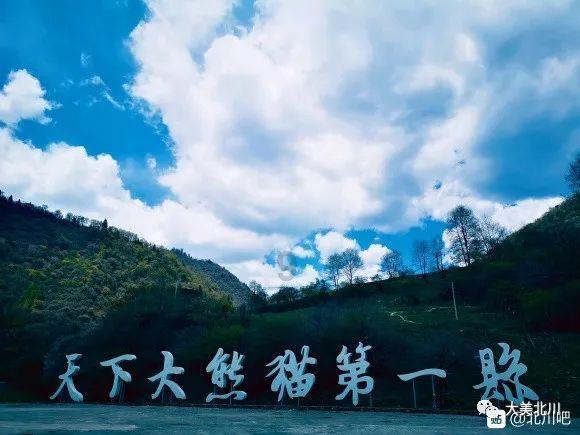 袋鼠逃生